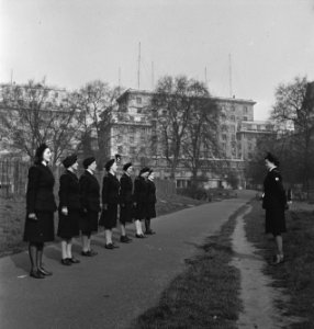 Netherland Women's Auxiliary Corps (Vrijwillig Vrouwen Hulpkorps VHK), Bestanddeelnr 935-3441