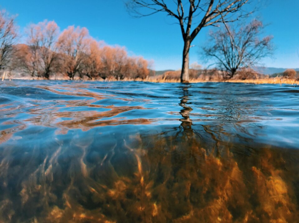 The water the scenery scenery