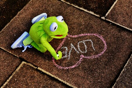 Kermit frog heart photo