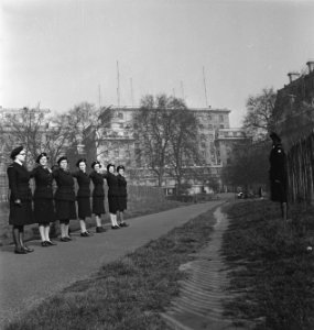 Netherland Women's Auxiliary Corps Nederlands Vrijwillig Vrouwen Hulpkorps (VH, Bestanddeelnr 935-3538