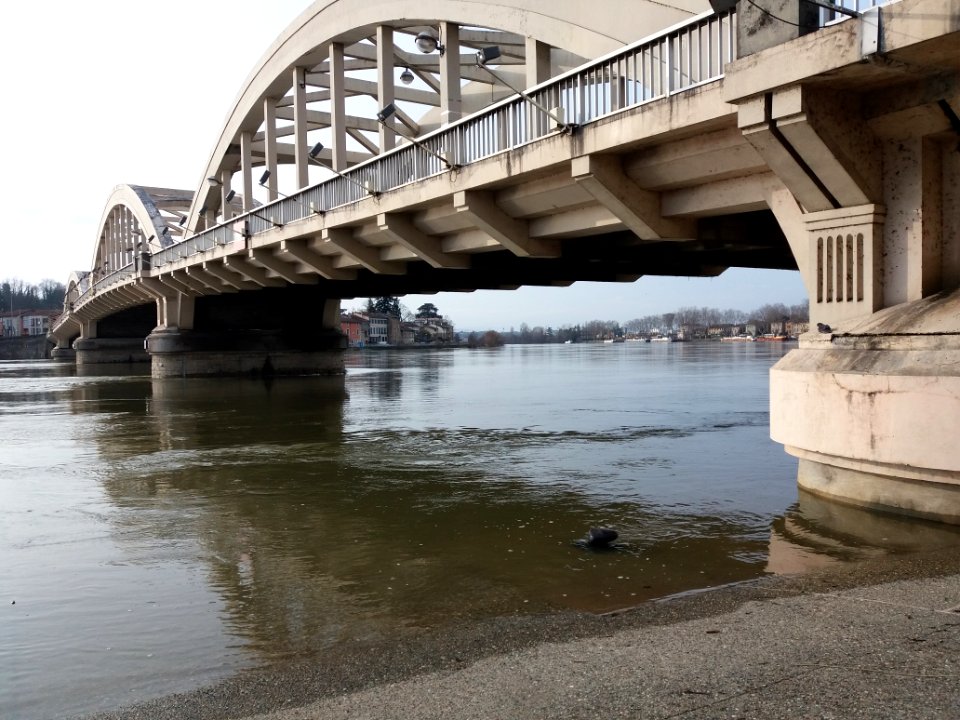Neuville-sur-Saône - Pont de Neuville - Saône débordant sur la quai