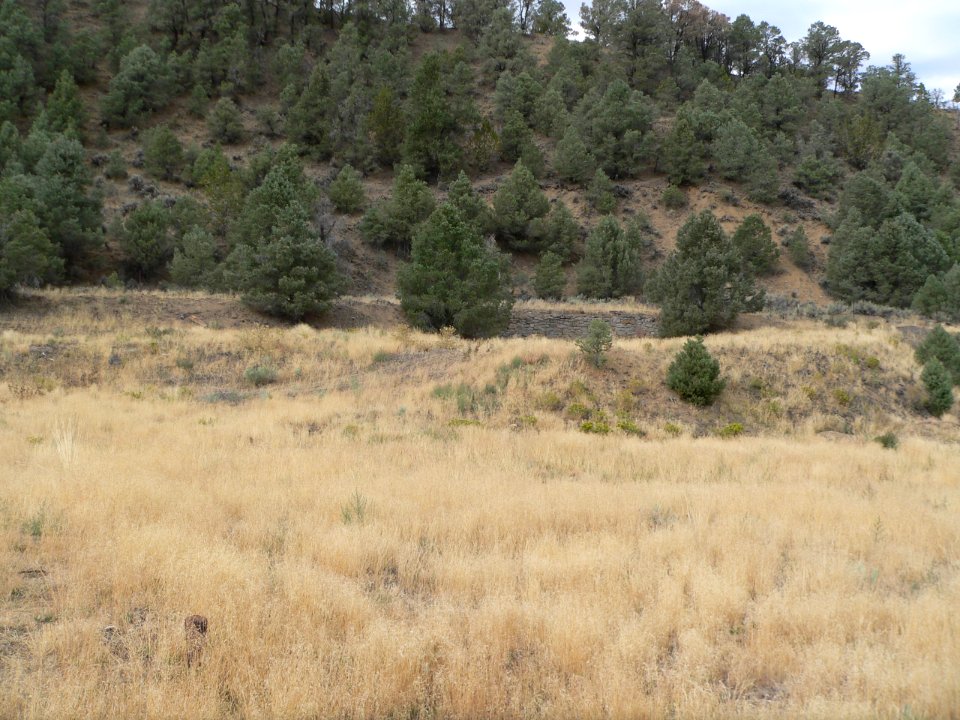 Nevada Central turntable (Austin NV) from N 1