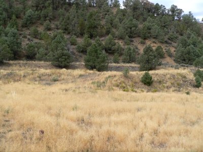 Nevada Central turntable (Austin NV) from N 1