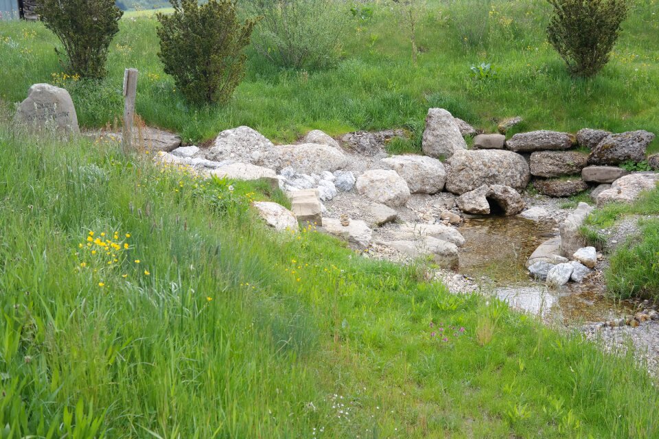 Origin source water