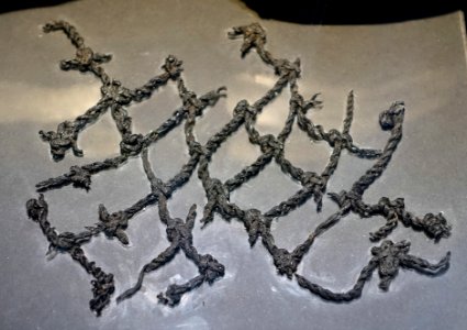 Net fragment, Federsee, c. 4000 BC, reeds - Landesmuseum Württemberg - Stuttgart, Germany - DSC02740
