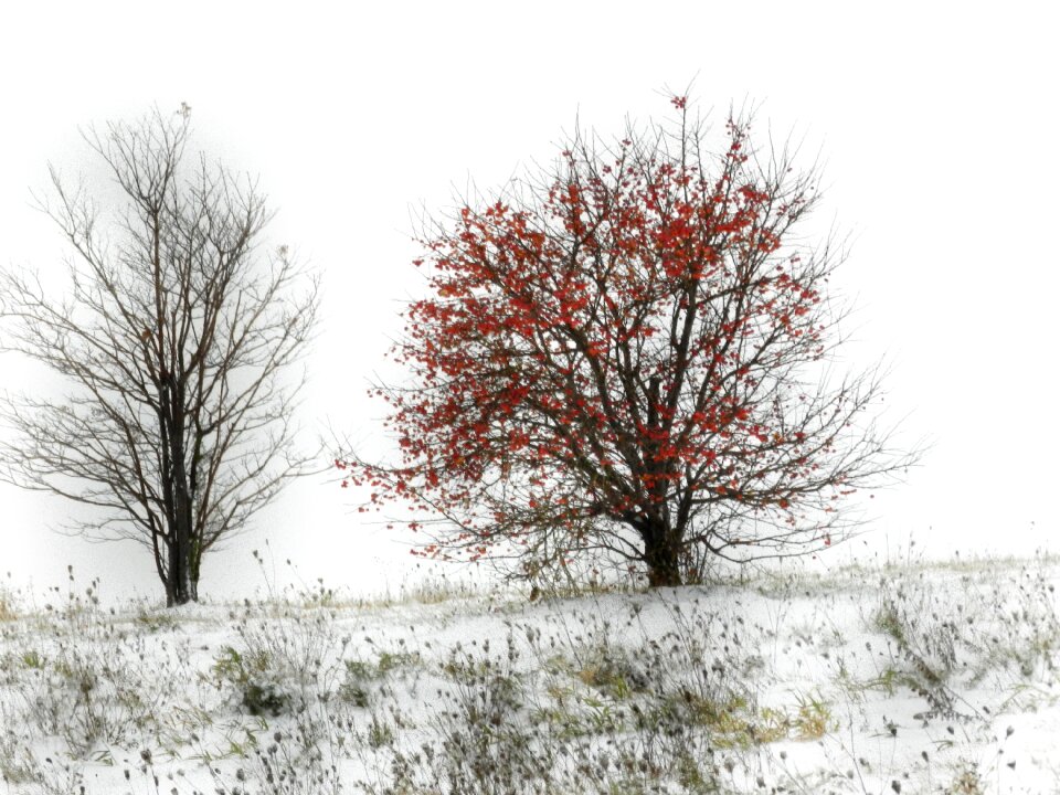 Cloudy white landscape
