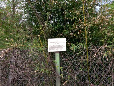 Neuville-sur-Saône - Rue du Pont des Biches - Écriteau emplacement ancien étang