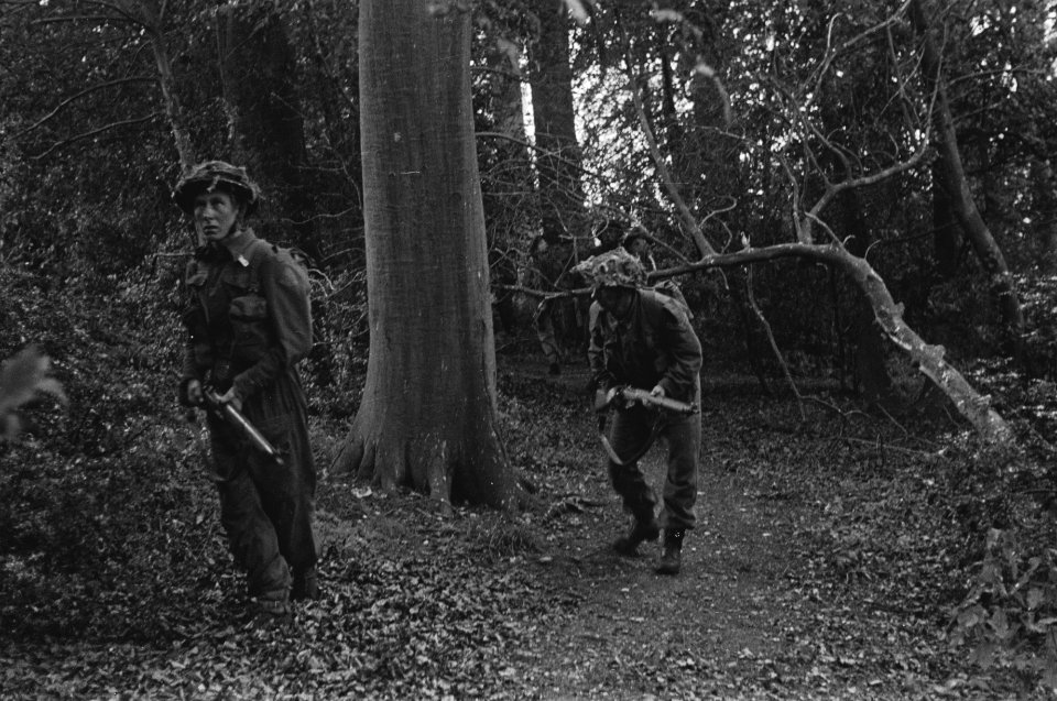 Netherlands Brigade Manoeuvres. Running snipers to earth Oefeningen Prinses Ire, Bestanddeelnr 934-9283