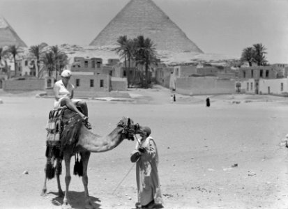 Nell Langlais, de vrouw van Van de Poll op een dromedaris. Piramides van Gizeh o, Bestanddeelnr 191-0116