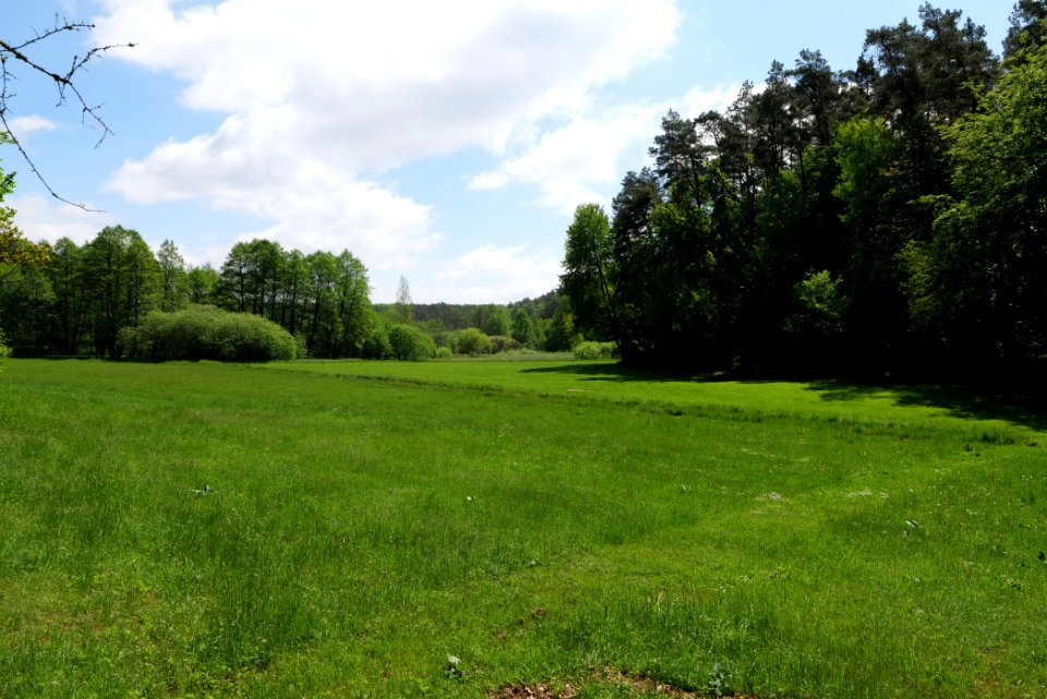 Netzowsee-Metzelthiner Feldmark 2021-05-29 15
