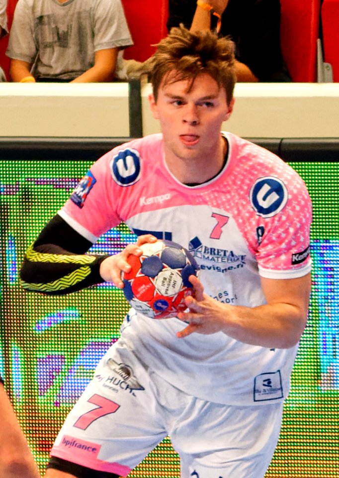 Nemanja Mladenovic 20151203