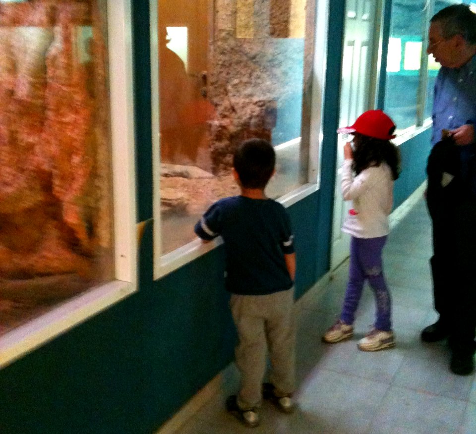 Negev Zoo IMG 0975