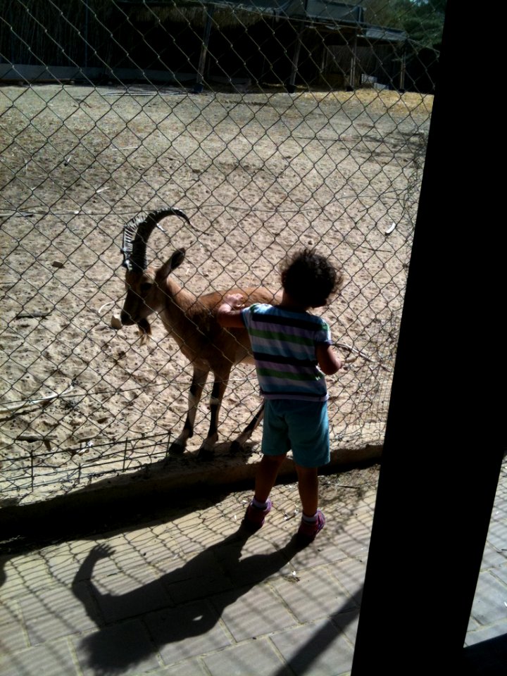 Negev Zoo Beersheva Israel IMG 0573