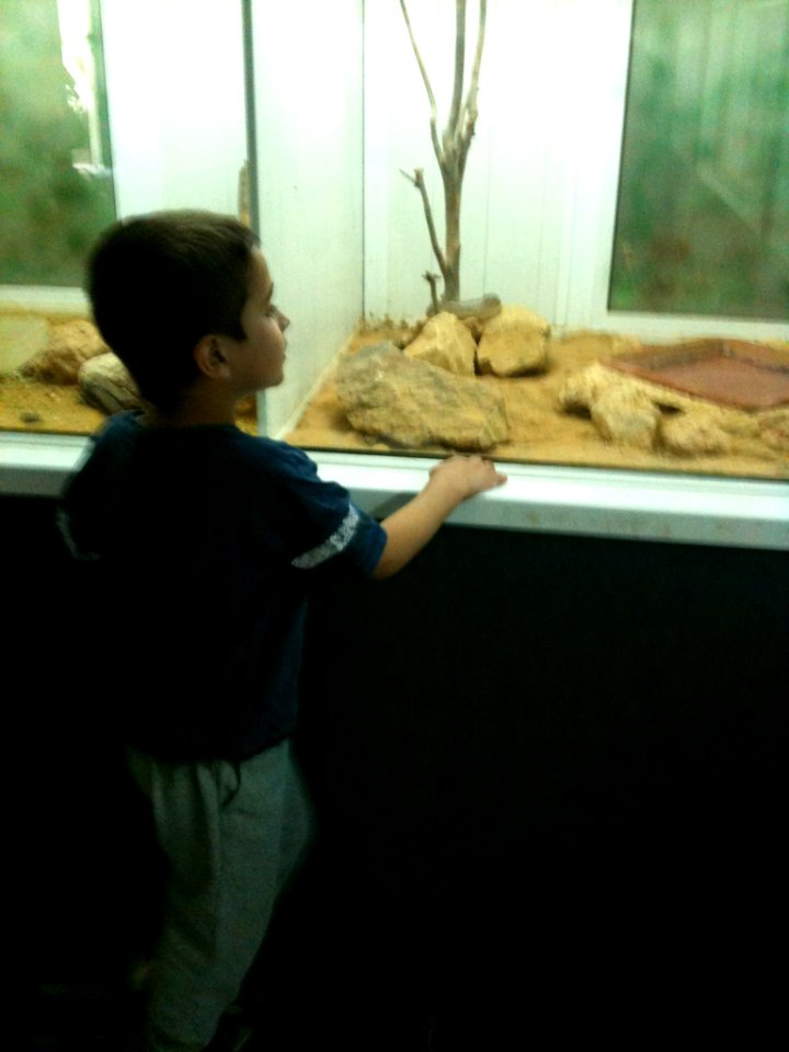 Negev Zoo IMG 0980