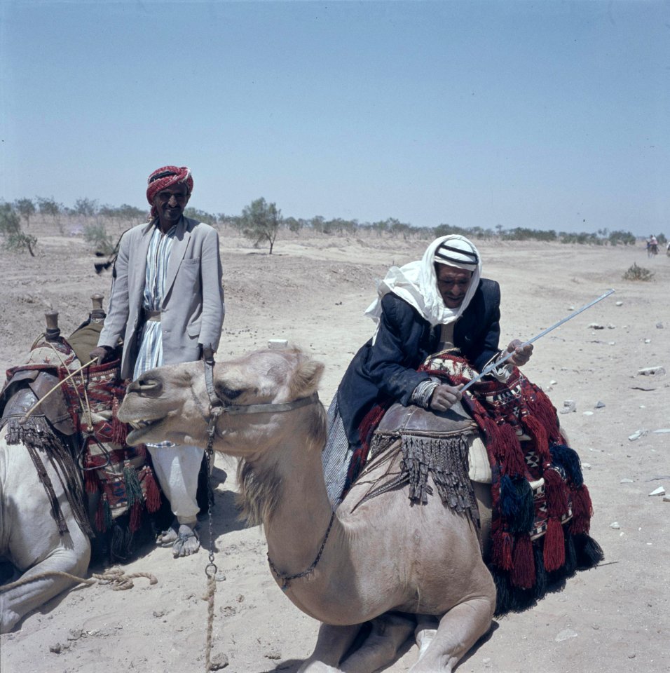 Negevwoestijn. Bedoeienen met kamelendromedarissen langs de weg i.a.v. toeriste, Bestanddeelnr 255-9330