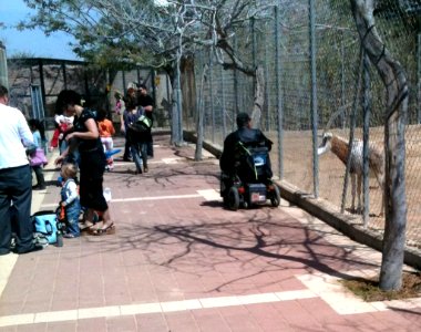 Negev Zoo IMG 1098