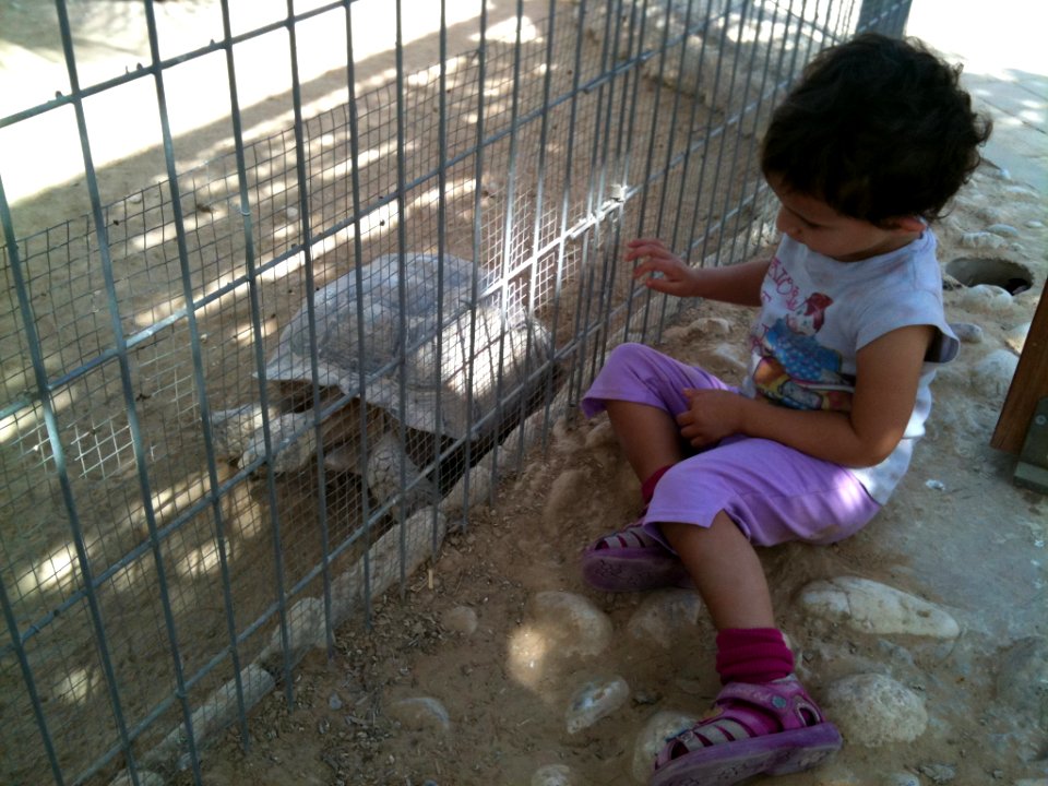 Negev Zoo Beersheva Israel IMG 0687