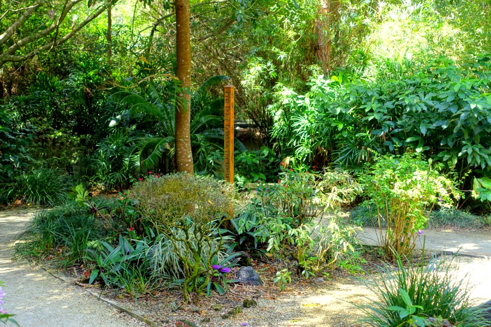 Nelson Family Memorial Garden - Morikami Museum and Japanese Gardens - Palm Beach County, Florida - DSC03446