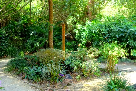 Nelson Family Memorial Garden - Morikami Museum and Japanese Gardens - Palm Beach County, Florida - DSC03446