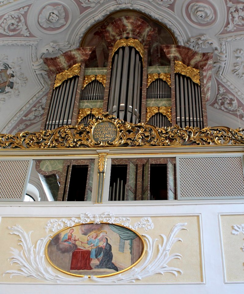 Neuburg St Ursula Orgel