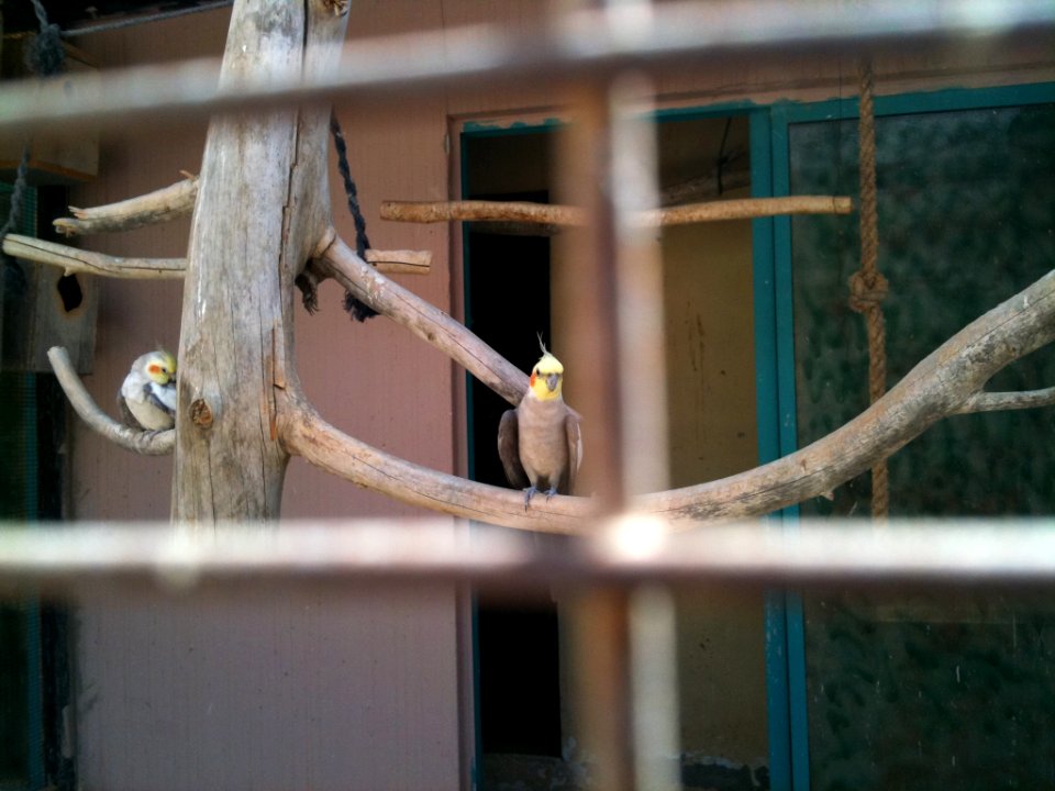 Negev Zoo Beersheva Israel IMG 0603