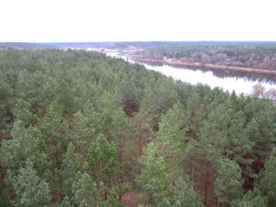 Nemunas from Merkinė Observation Tower, 2016 01