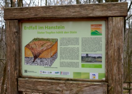 Neuenbeken - Erdfall im Hanstein - 5