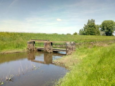 Neue Lauter, ehemaliges Wehr am Düker Buschgraben & Tankgraben, Rheinhauptdeich