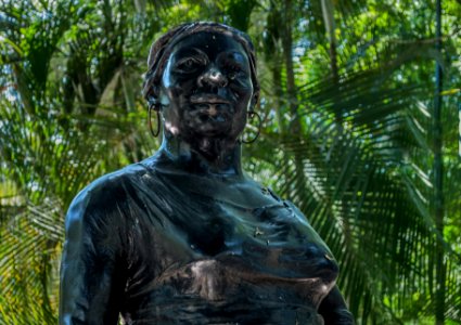 Negra Hipólita