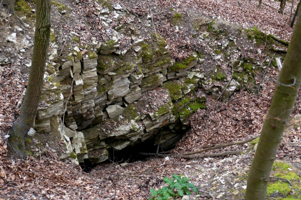 Neuenbeken - Erdfall im Hanstein - 2