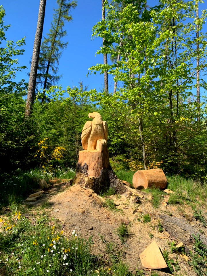 Neu-Anspach, Langhals, Holzskulpturen, Adler