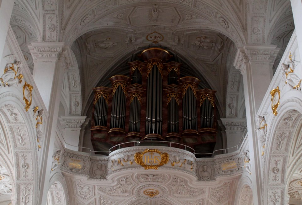 Neuburg Hofkirche Orgel
