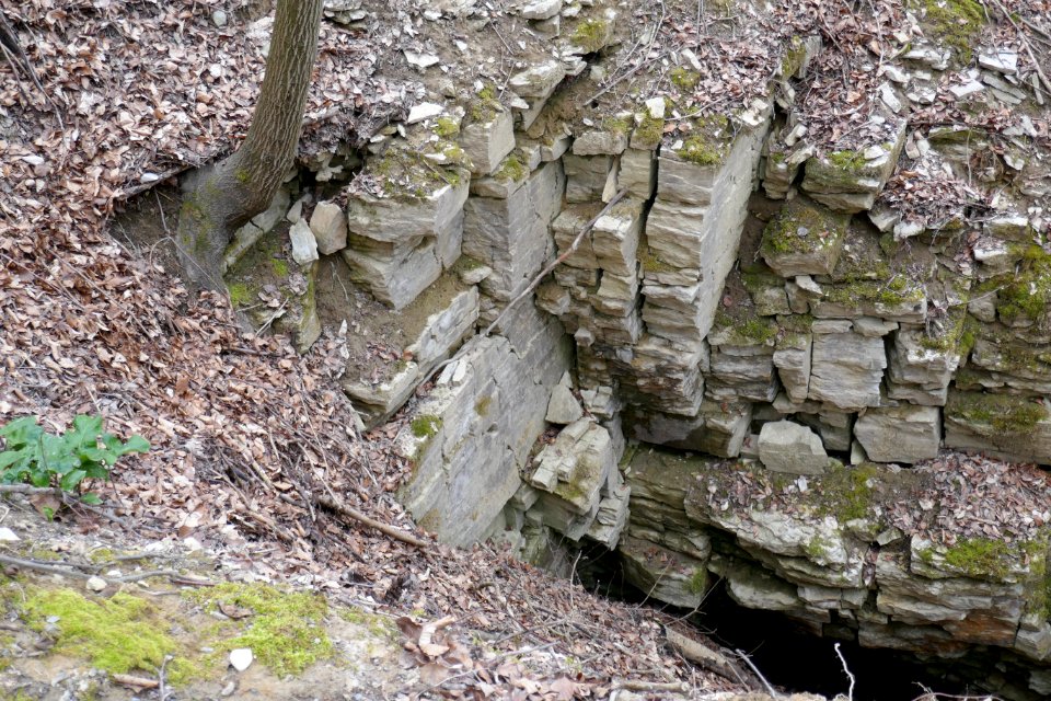 Neuenbeken - Erdfall im Hanstein - 4