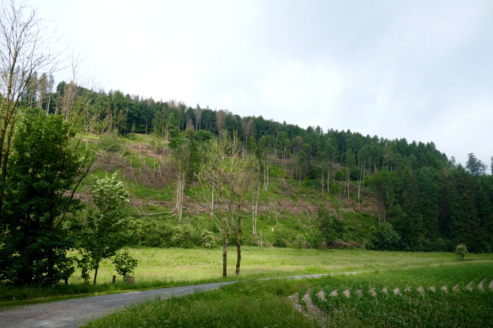 Neuenbeken - Dunetal - 1