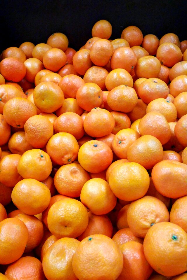 Fruit nature black background
