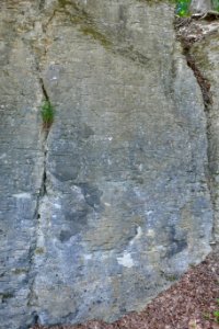 Neuenbeken - Steinbruch am Hanstein - 2