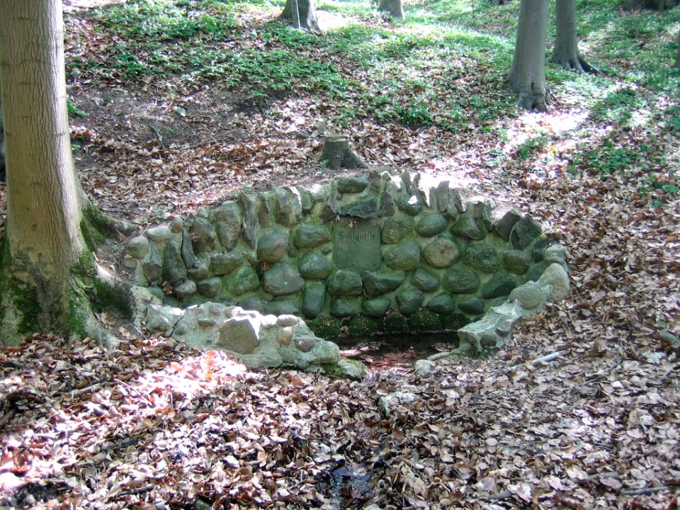 Neubrandenburg-Suhlquelle