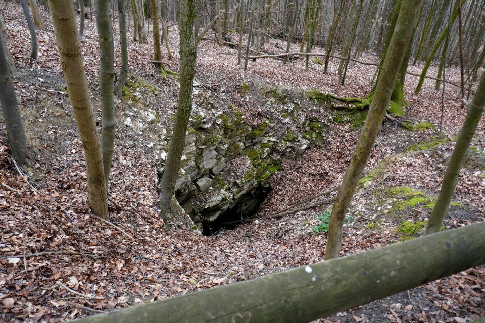 Neuenbeken - Erdfall im Hanstein - 1