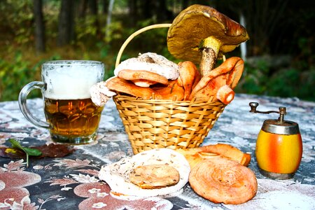 Still life forest lactarius deliciosus