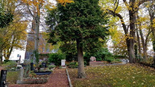 Neu-Moresnet-Evangelische Kirche (14)