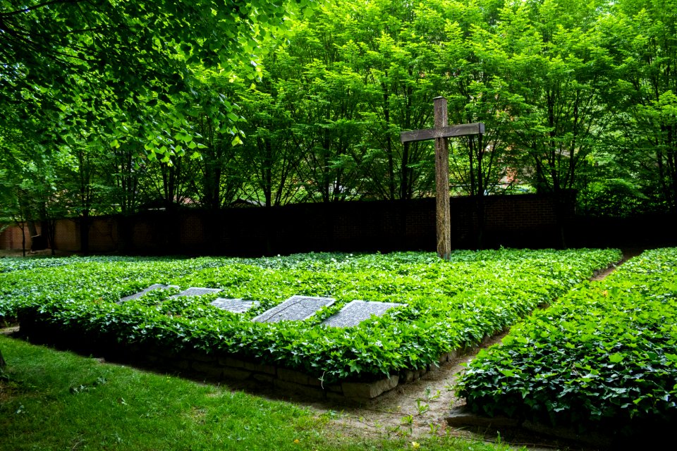 Neuer Annenfriedhof Dresden, Massengrab Luftangriff 1945