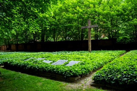 Neuer Annenfriedhof Dresden, Massengrab Luftangriff 1945