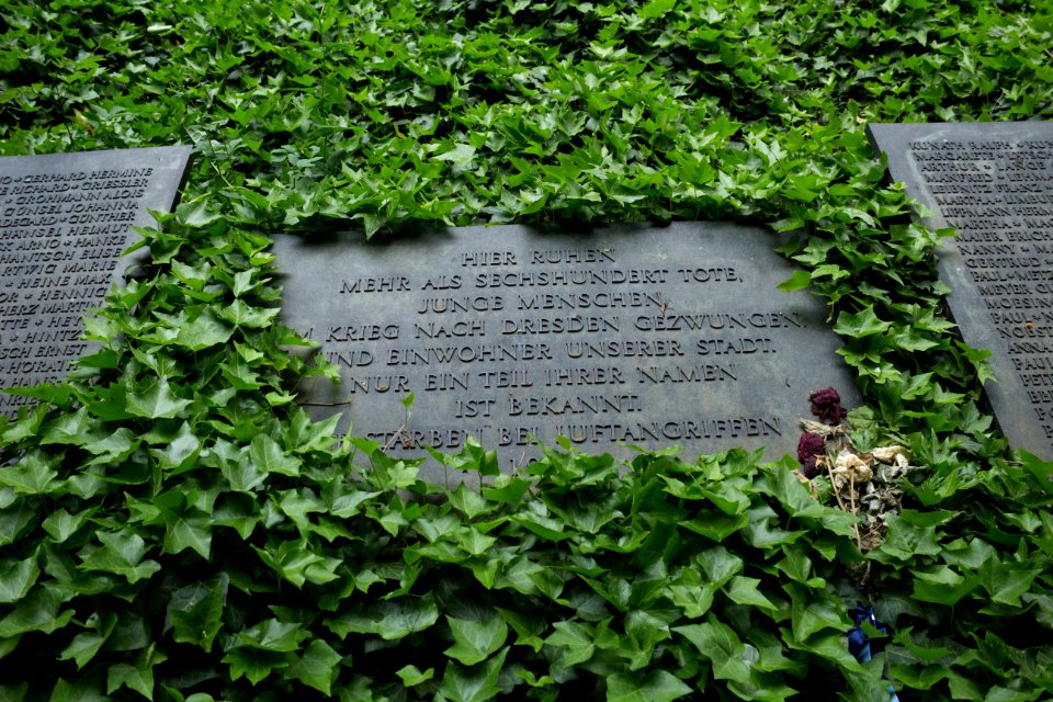 Neuer Annenfriedhof Dresden, Massengrab Luftangriff 1945 - Gedenktafel