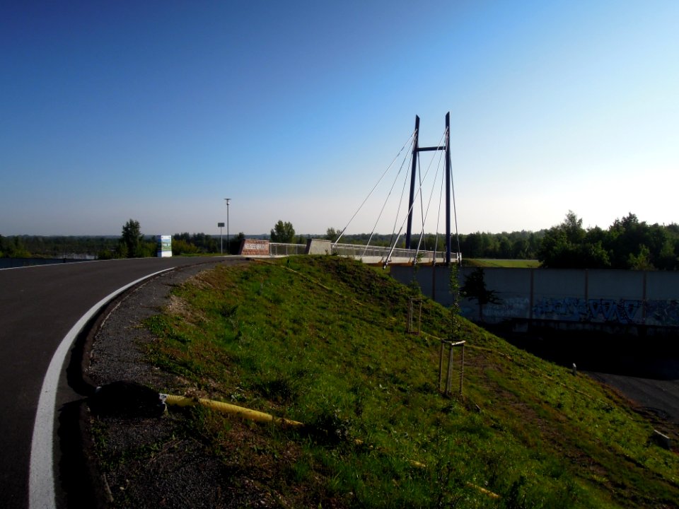 Neuseenbrücke am Westkopf mit Baumanpflanzungen und Drainage (Blick nach Ost, Richtung Störmthal) im August 2017