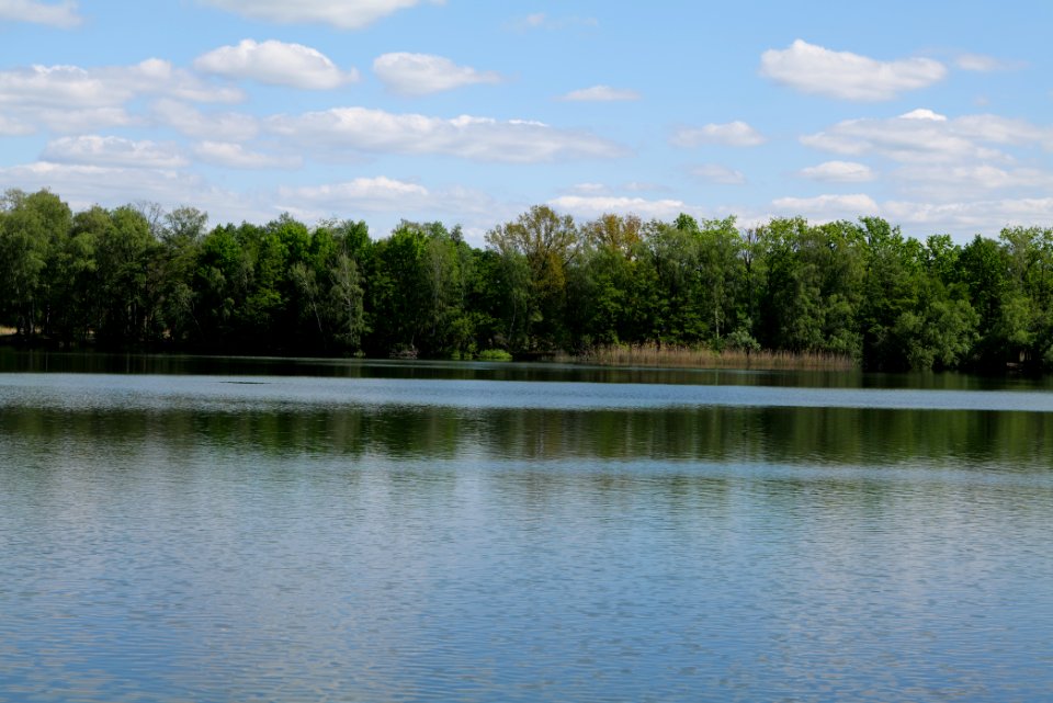 Neuer See Falkenhagen 2020-05-15 07