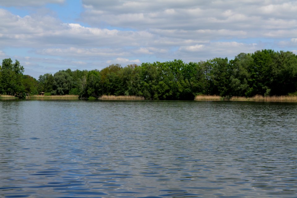 Neuer See Falkenhagen 2020-05-15 01