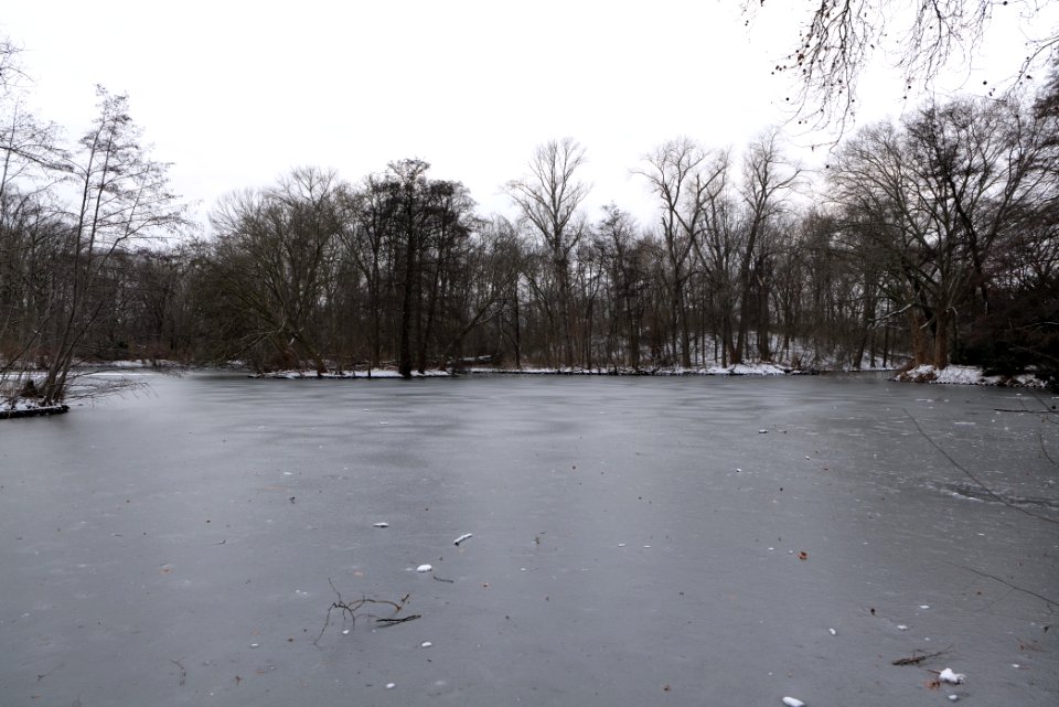 Neuer See Tiergarten Berlin with ice and snow 2021-02-06 01