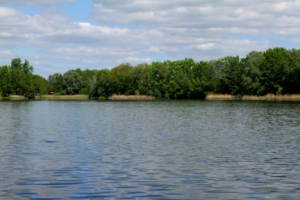 Neuer See Falkenhagen 2020-05-15 02