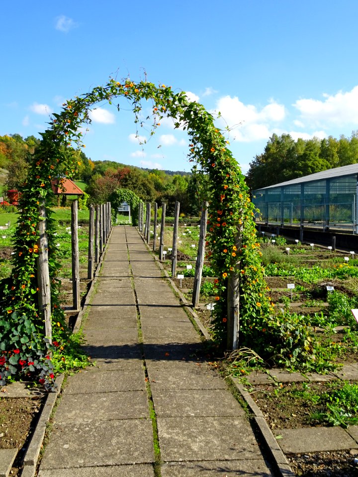 Neuer Botanischer Garten Göttingen1