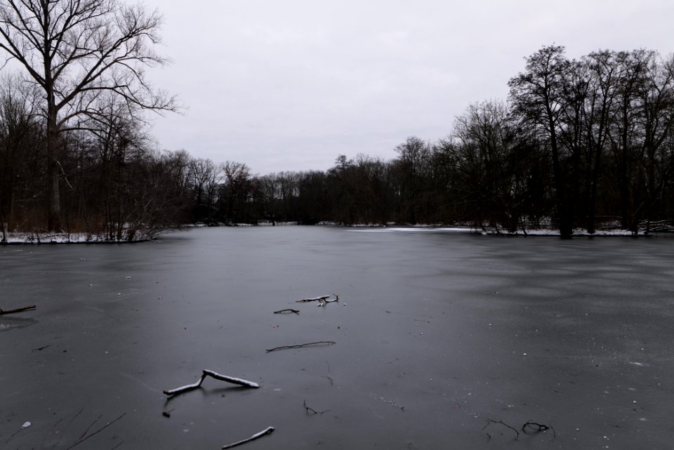 Neuer See Tiergarten Berlin with ice and snow 2021-02-06 06